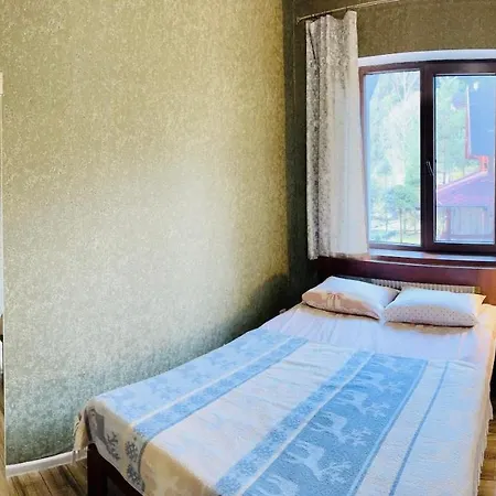 лісова комфорт Skhidnytsia