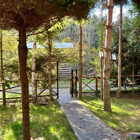 лісова комфорт Apartamento *