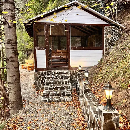 лісова комфорт Apartamento