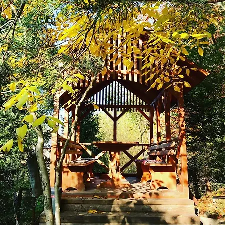 Appartamento лісова комфорт Skhidnytsia